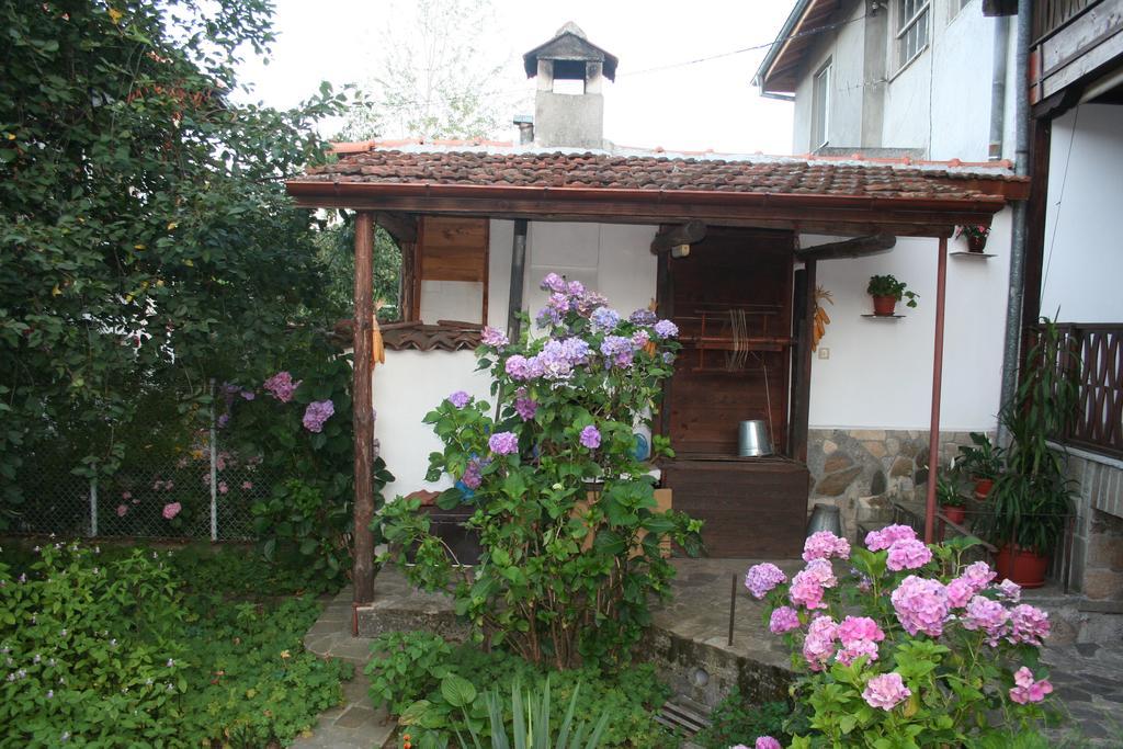 Todorova House Hotel Zlatograd Exterior photo